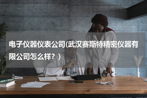 电子仪器仪表公司(武汉赛斯特精密仪器有限公司怎么样？)