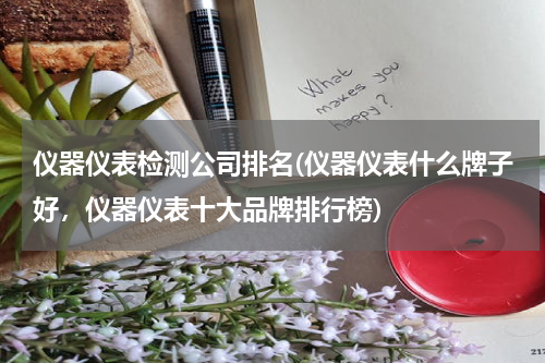 仪器仪表检测公司排名(仪器仪表什么牌子好，仪器仪表十大品牌排行榜)