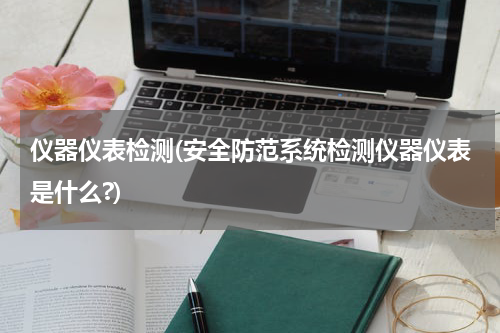 仪器仪表检测(安全防范系统检测仪器仪表是什么?)