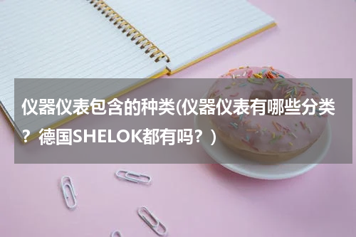 仪器仪表包含的种类(仪器仪表有哪些分类？德国SHELOK都有吗？)