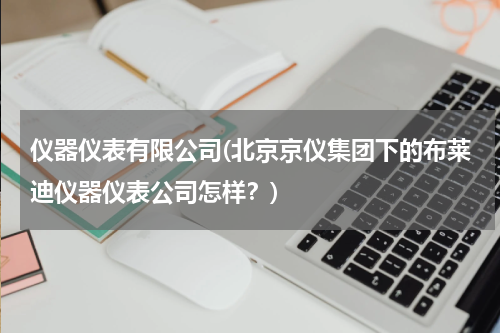 仪器仪表有限公司(北京京仪集团下的布莱迪仪器仪表公司怎样？)