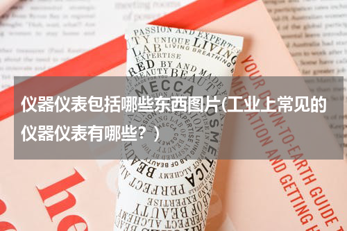 仪器仪表包括哪些东西图片(工业上常见的仪器仪表有哪些？)