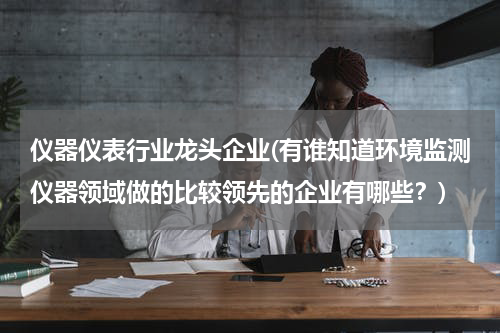 仪器仪表行业龙头企业(有谁知道环境监测仪器领域做的比较领先的企业有哪些？)