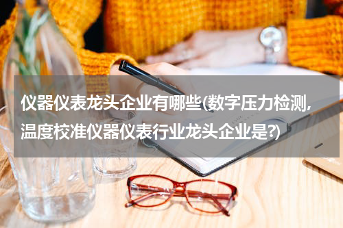 仪器仪表龙头企业有哪些(数字压力检测,温度校准仪器仪表行业龙头企业是?)