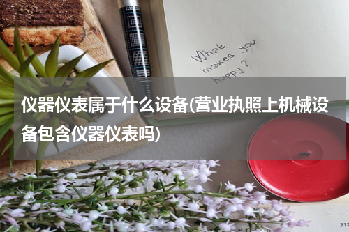 仪器仪表属于什么设备(营业执照上机械设备包含仪器仪表吗)