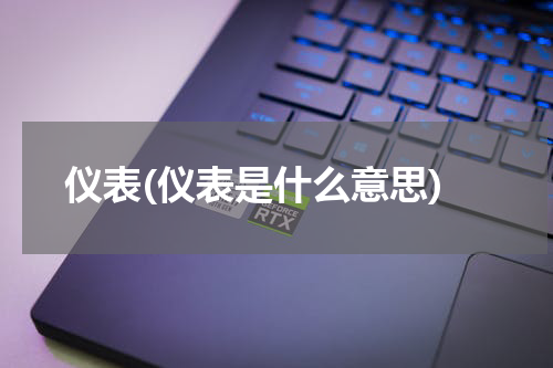 仪表(仪表是什么意思)