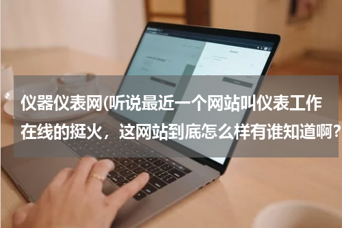 仪器仪表网(听说最近一个网站叫仪表工作在线的挺火，这网站到底怎么样有谁知道啊？)