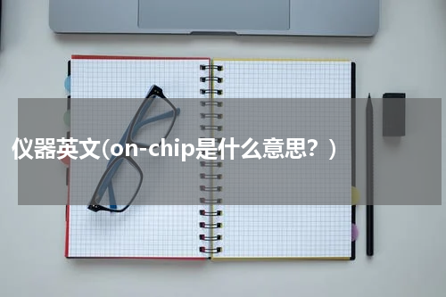 仪器英文(on-chip是什么意思？)