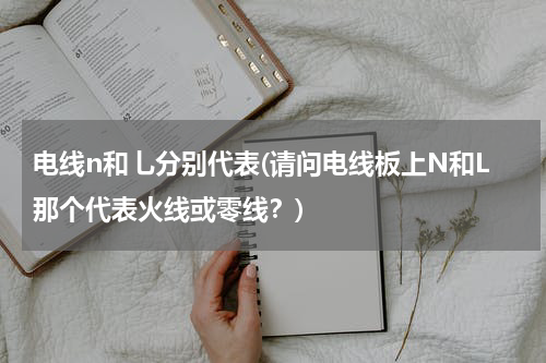 电线n和乚分别代表(请问电线板上N和L那个代表火线或零线？)