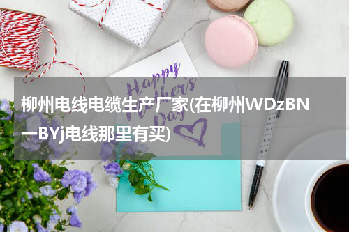 柳州电线电缆生产厂家(在柳州WDzBN一BYj电线那里有买)