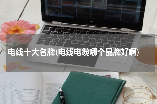 电线十大名牌(电线电缆哪个品牌好啊)