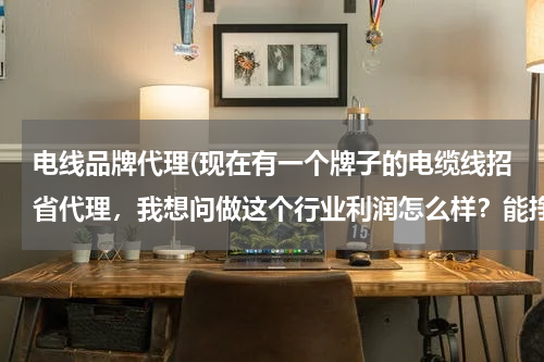 电线品牌代理(现在有一个牌子的电缆线招省代理，我想问做这个行业利润怎么样？能挣到钱吗？利润乐观吗？谢谢老师！！！)