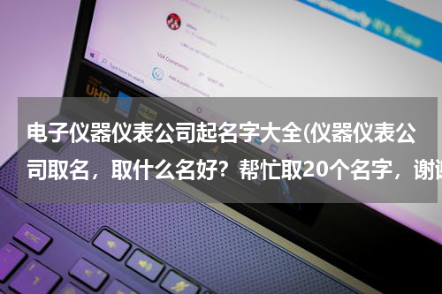 电子仪器仪表公司起名字大全(仪器仪表公司取名，取什么名好？帮忙取20个名字，谢谢了)