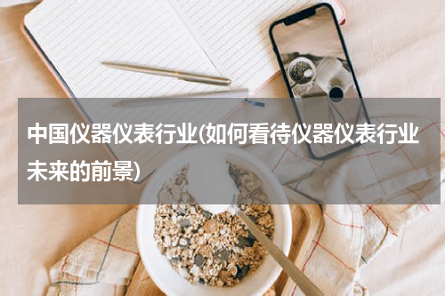 中国仪器仪表行业(如何看待仪器仪表行业未来的前景)