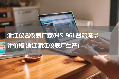 浙江仪器仪表厂家(HS-96L智能流量计价格,浙江浦江仪表厂生产)
