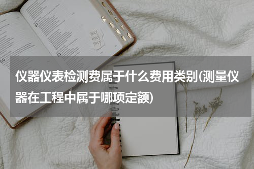 仪器仪表检测费属于什么费用类别(测量仪器在工程中属于哪项定额)