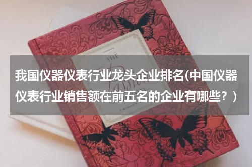 我国仪器仪表行业龙头企业排名(中国仪器仪表行业销售额在前五名的企业有哪些？)