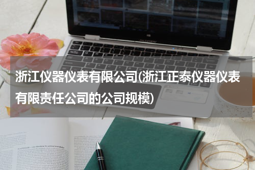 浙江仪器仪表有限公司(浙江正泰仪器仪表有限责任公司的公司规模)