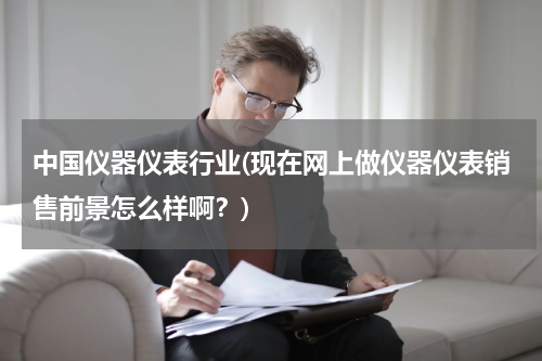 中国仪器仪表行业(现在网上做仪器仪表销售前景怎么样啊？)