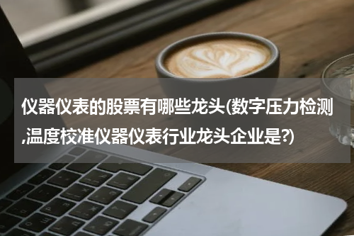 仪器仪表的股票有哪些龙头(数字压力检测,温度校准仪器仪表行业龙头企业是?)