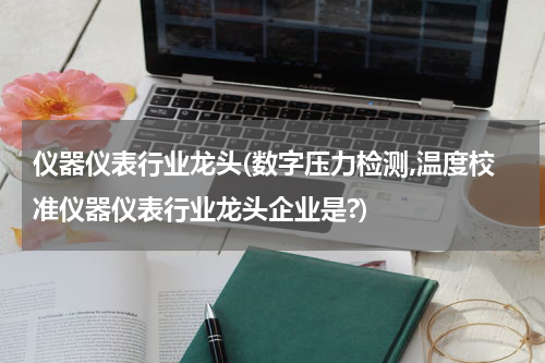 仪器仪表行业龙头(数字压力检测,温度校准仪器仪表行业龙头企业是?)