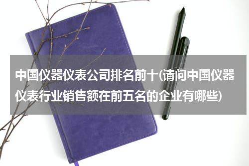 中国仪器仪表公司排名前十(请问中国仪器仪表行业销售额在前五名的企业有哪些)