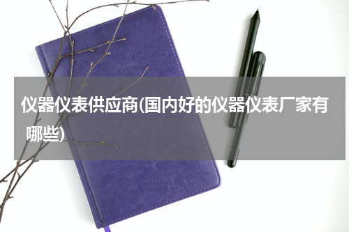 仪器仪表供应商(国内好的仪器仪表厂家有 哪些)