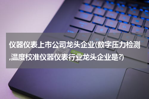 仪器仪表上市公司龙头企业(数字压力检测,温度校准仪器仪表行业龙头企业是?)