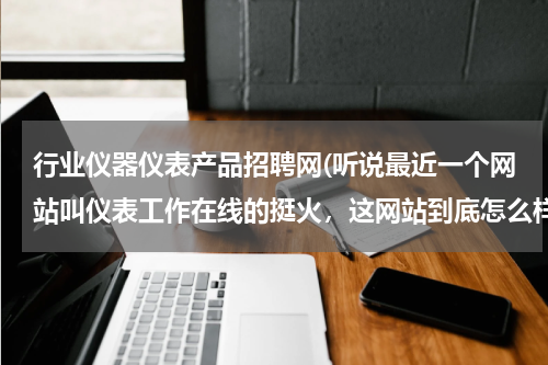 行业仪器仪表产品招聘网(听说最近一个网站叫仪表工作在线的挺火，这网站到底怎么样有谁知道啊？)