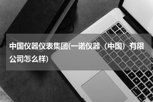 中国仪器仪表集团(一诺仪器（中国）有限公司怎么样)