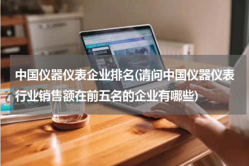 中国仪器仪表企业排名(请问中国仪器仪表行业销售额在前五名的企业有哪些)