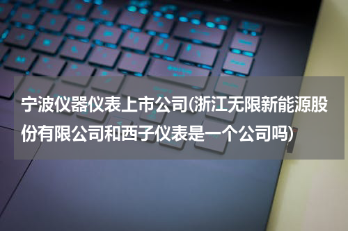 宁波仪器仪表上市公司(浙江无限新能源股份有限公司和西子仪表是一个公司吗)