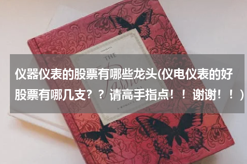 仪器仪表的股票有哪些龙头(仪电仪表的好股票有哪几支？？请高手指点！！谢谢！！)