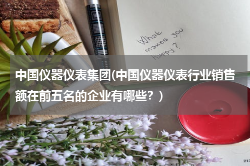 中国仪器仪表集团(中国仪器仪表行业销售额在前五名的企业有哪些？)
