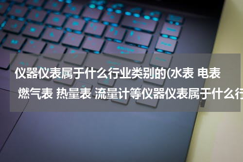 仪器仪表属于什么行业类别的(水表 电表 燃气表 热量表 流量计等仪器仪表属于什么行业分类)