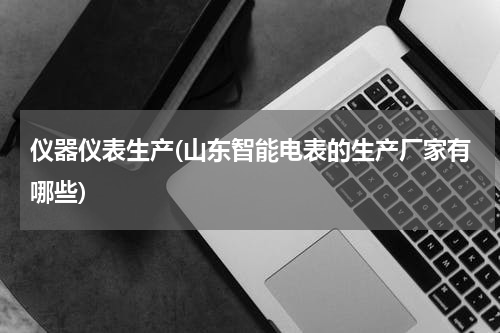 仪器仪表生产(山东智能电表的生产厂家有哪些)