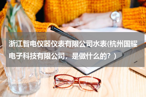浙江智电仪器仪表有限公司水表(杭州国耀电子科技有限公司，是做什么的？)