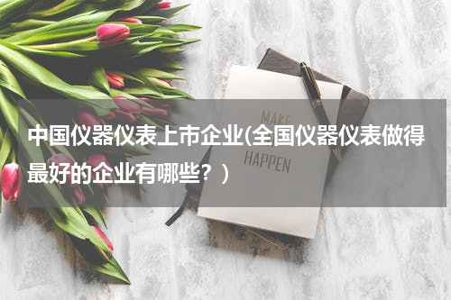 中国仪器仪表上市企业(全国仪器仪表做得最好的企业有哪些？)