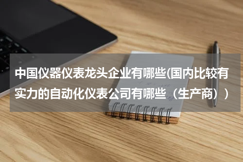 中国仪器仪表龙头企业有哪些(国内比较有实力的自动化仪表公司有哪些（生产商）)