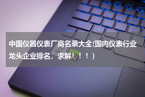 中国仪器仪表厂商名录大全(国内仪表行业龙头企业排名，求解！！！)