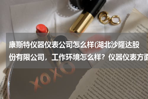 康斯特仪器仪表公司怎么样(湖北沙隆达股份有限公司，工作环境怎么样？仪器仪表方面的？会不会影响到身体的健康？)