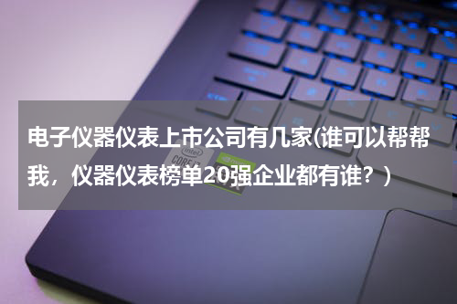 电子仪器仪表上市公司有几家(谁可以帮帮我，仪器仪表榜单20强企业都有谁？)