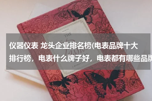 仪器仪表 龙头企业排名榜(电表品牌十大排行榜，电表什么牌子好，电表都有哪些品牌？)