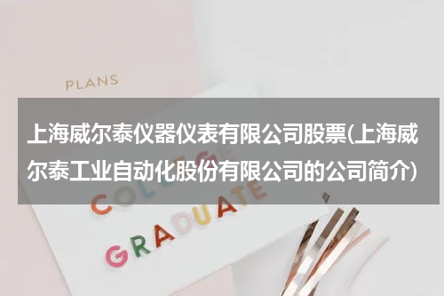 上海威尔泰仪器仪表有限公司股票(上海威尔泰工业自动化股份有限公司的公司简介)