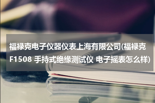 福禄克电子仪器仪表上海有限公司(福禄克F1508 手持式绝缘测试仪 电子摇表怎么样)