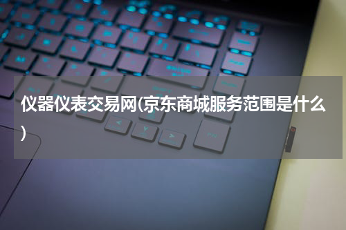 仪器仪表交易网(京东商城服务范围是什么)