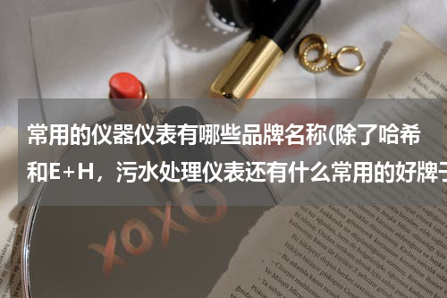 常用的仪器仪表有哪些品牌名称(除了哈希和E+H，污水处理仪表还有什么常用的好牌子？进口的。)