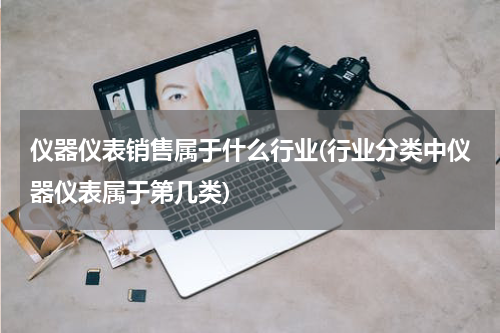 仪器仪表销售属于什么行业(行业分类中仪器仪表属于第几类)