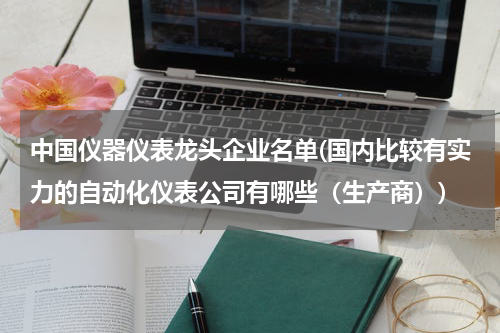 中国仪器仪表龙头企业名单(国内比较有实力的自动化仪表公司有哪些（生产商）)