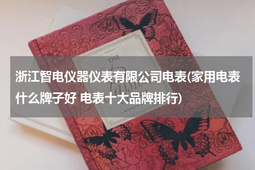 浙江智电仪器仪表有限公司电表(家用电表什么牌子好 电表十大品牌排行)